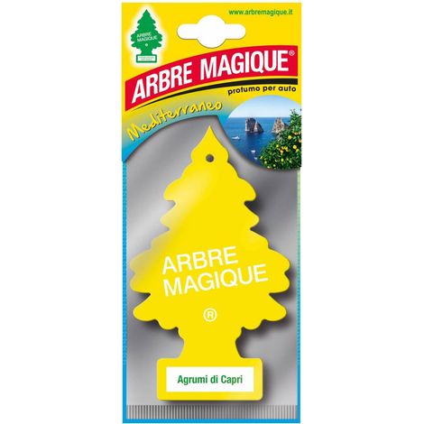 24 x ARBRE MAGIQUE MEDITERRANEO CAPRI