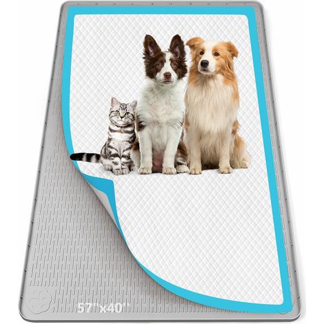 Tapis de protection pour chien, 145 x 102 cm, en silicone, anti-fuites, à bords hauts, sans déversement, pour chiot, chat, lapin, tapis d'entraînement pour la protection du sol, sans (1/5)
