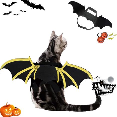 Aile De Chauve-Souris Pour Animal De Compagnie - Costume Halloween Pour Chien Et Chat - Avec Clochette Citrouille - Taille Unique (1/5)