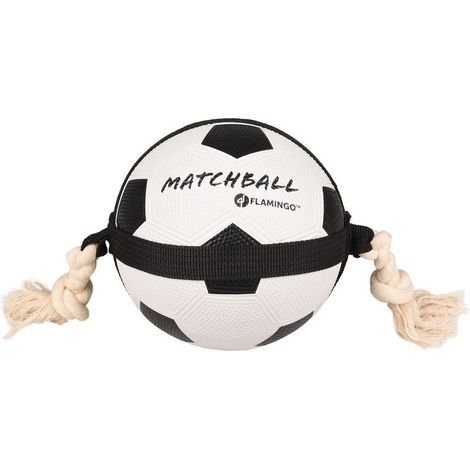 Ballon de football pour chien de 20 cm de diamètre, avec corde, idéal pour la compétition. (1/4)