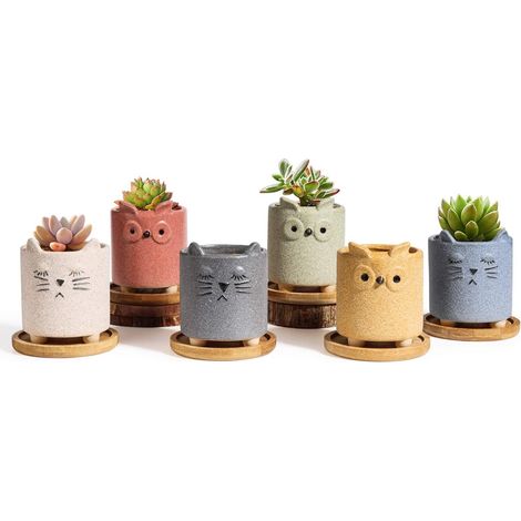 Pots fleurs céramique + plateau bambou (lot de 6) – surface mate – animaux décoratifs – intérieur/bureau (1/4)