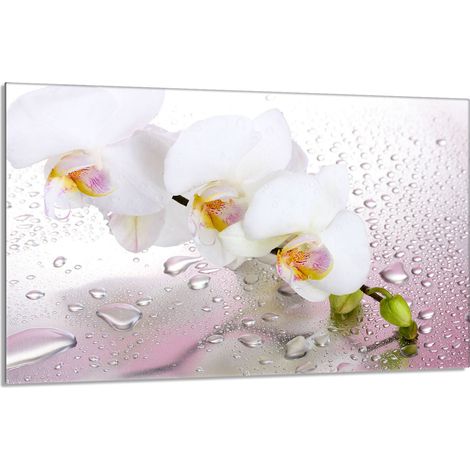 Glasschutzplatte für den Herd 80x52 Orchidea (1/5)