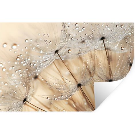 Wall Sticker Dandelion - Abstract - Nature - Beige 60x40 cm