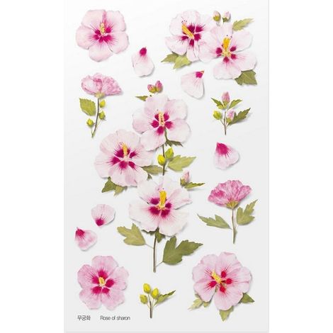 Adesivi decorativi a forma di fiore - Rosa di Sharon