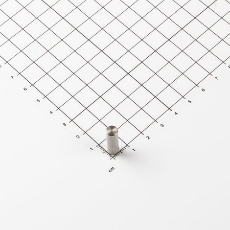 Magna-C Zylindrisches V2A-Magnetsystem Ø6x20mm (1/3)