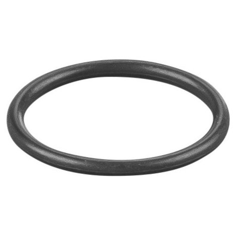 Rems O-Ring 060303