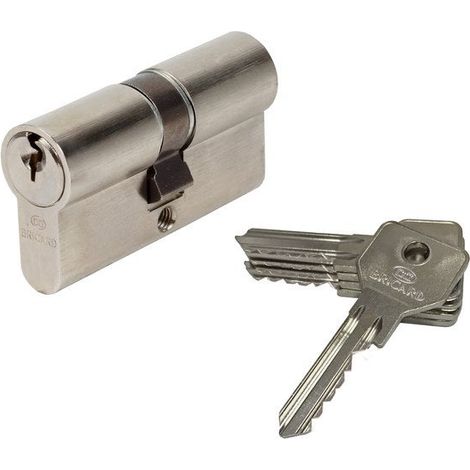 Cylindre De Serrure Bricard Alpha L.30 + 30 Mm