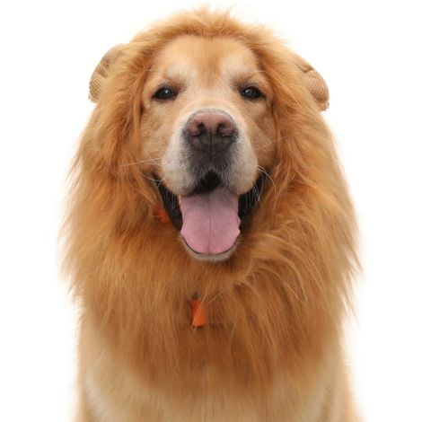 Disfraz de león para mascotas marrón S x 3 modelo 4