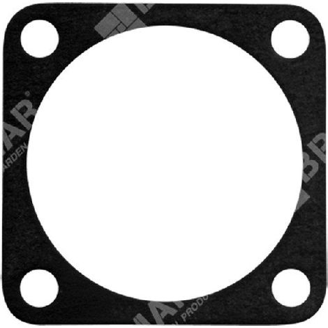 Membrandichtung für TILLOTSON-Vergaser - 003038