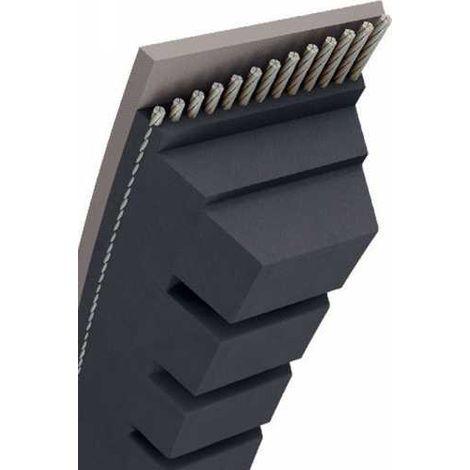 Courroie tondeuse AX43 trapézoïdale crantée  13 x 1142 mm (1/5)