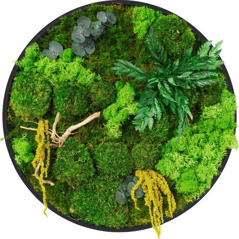 ECD Germany Cuadro de musgo mixto esférico, islandés y plano preservado con ramas de madera auténtica, redondo Ø 40 cm, decoración de pared de interior, sin cuidado, arte decorativo de hogar y oficina (1/5)