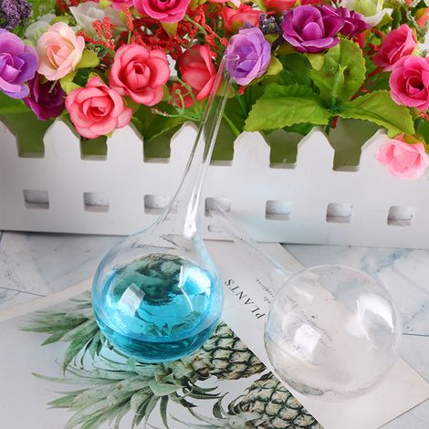 Arroseur automatique en verre transparent 6x15cm avec bulles, système d'irrigation goutte à goutte pour plantes intérieures et jardins (1/5)