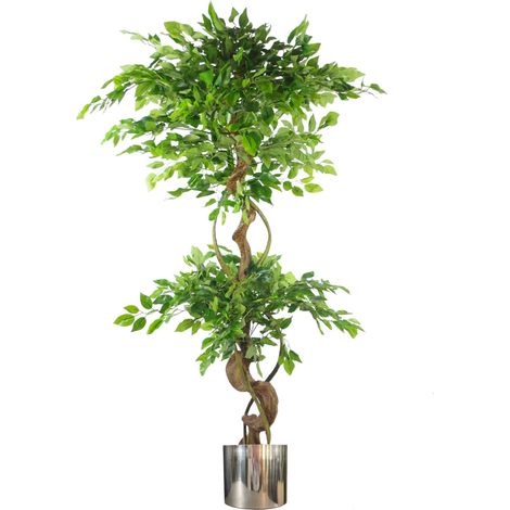 150cm Twisted Trunk Artificial Japanese Fruticosa Ficus Tree Silver Planter (1/5)