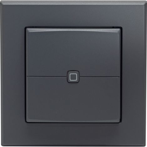 Interrupteur mural Homematic-ip hmip-wrc2-a-2 sans fil multifonction (1/5)