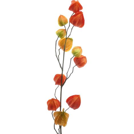 GASPER Lampionpflanze - Physalis Orange 80 cm - Kunstblumen (1/2)