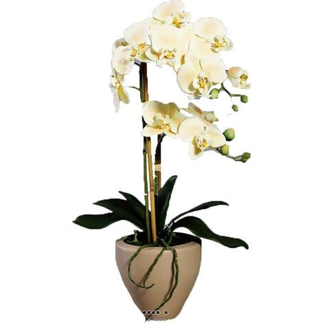 Orchidee factice 2 hampes pot Ceramique H57cm touché réel Vanille - couleur: Vanille