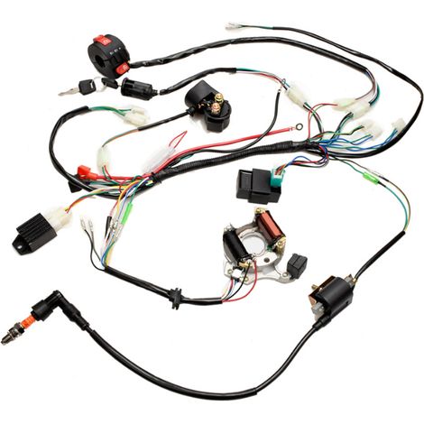 Kit Stator CDI - Faisceau de Câblage Électrique pour ATV Quad 150 CC 200 CC 250 CC - Ensemble Complet de Pièces d'Allumage - 9 Pièces (1/5)