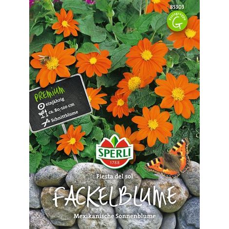 Sperli Fackelblumen Fiesta del Sol - Blumensamen (1/4)