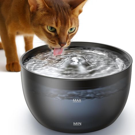 Fontaine à Eau 3L silencieuse, Distributeur Automatique pour Chats  1 Filtre Charbon - Gamelle en Acier Inoxydable - Réservoir Noir (1/5)