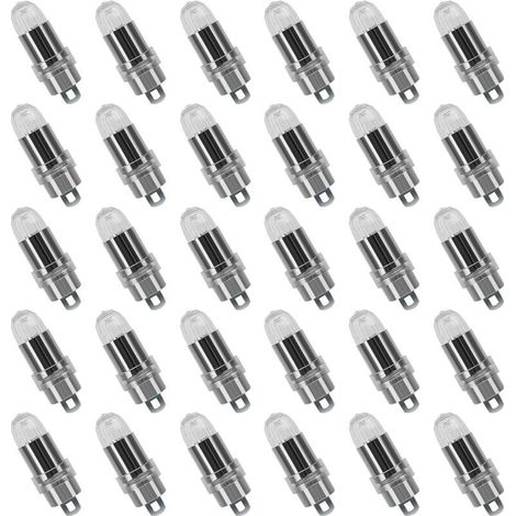30PCS LED Ballons Lampes Lumineuses Blanc froid pour Lanterne Papier Décoration Mariage,Fête [Classe énergétique A+] (1/5)