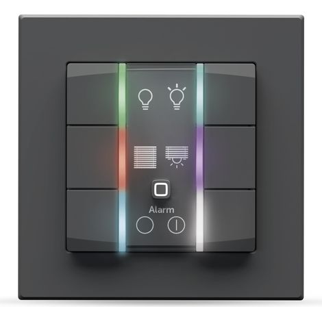 HOMEMATIC IP SMART HOME 162028A0 INTERRUPTEUR MURAL 6 BOUTONS, 230 V, ANTHRACITE, UTILISATION UNIVERSELLE, ACTIONNEURS ET THERMO