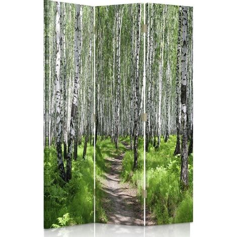 Paravento bilaterale 360, Sentiero attraverso un bosco di betulle - 110x170 (1/5)