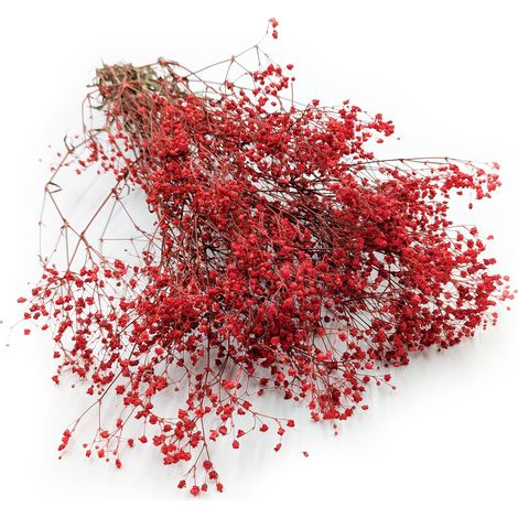 Gypsophila estabilizada - Rojo pastel