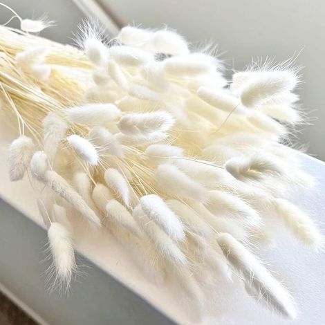 120 Pièces Herbes de Pampa Blanches Séchées 43cm, Décoration Florale pour Mariage Boho et Intérieur (1/5)