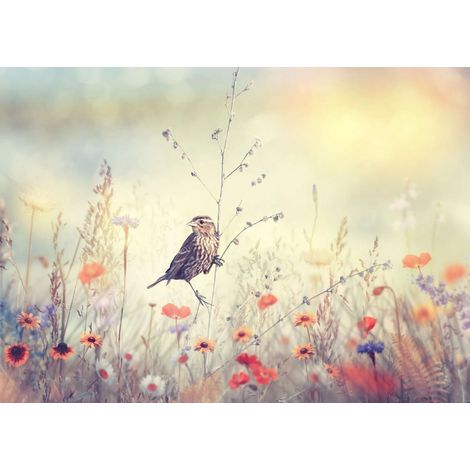 Magnetische Heizkörper-Abdeckmatte mit Vogelmotiv, Wildblumen-Motiv im Boho-Stil, 60 x 100 cm (1/3)