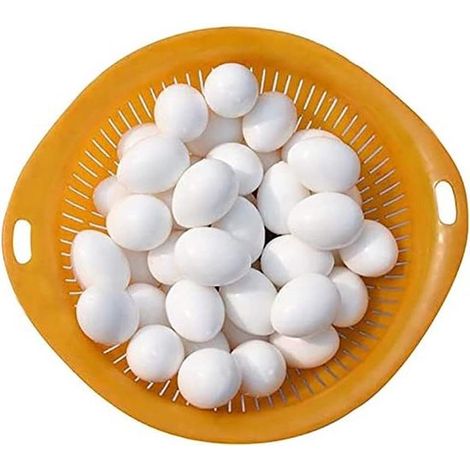 - Faux œufs en plastique pour pigeons voyageurs - 20 pièces - 10 g - Idéal pour l'entraînement - Accessoires pour pigeons voyageurs (1/5)