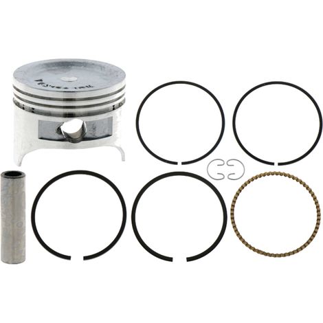 Pistone con fasce elastiche per Briggs fi 59,60, 30271147 (1/3)