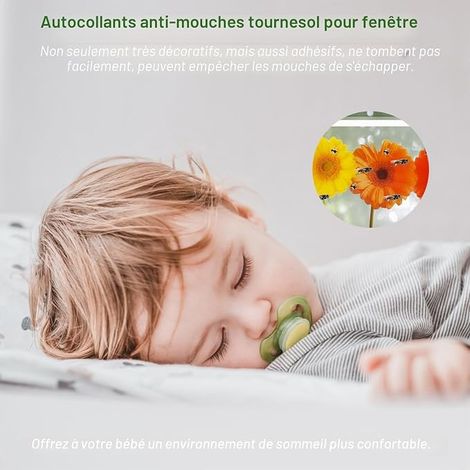 Piège de Fenêtre Piège à Mouche Piège à Insectes Pièges Adhésifs Jaun pour Les Insectes Nuisibles D'intérieur (1/4)