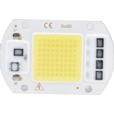Source de lumière COB haute tension, puce LED haute puissance, blanc froid, 100W, 220V, pour utilisation intérieure et extérieure