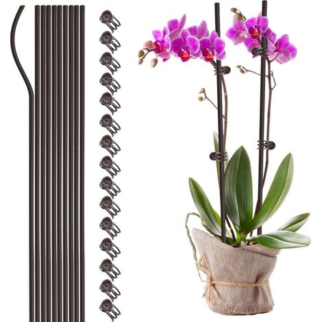 10 unidades de alambre de soporte para plantas, jaula de plástico plegable para plantas, ideal para flores, hierbas y verduras de jardín (marrón) (1/2)