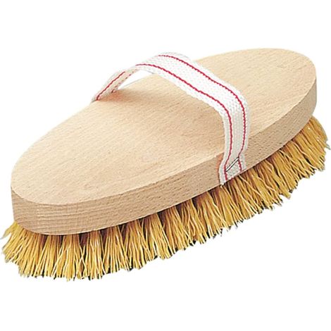Spazzola per cavalli con setole in Nylon e manico in legno 22 cm (1/3)