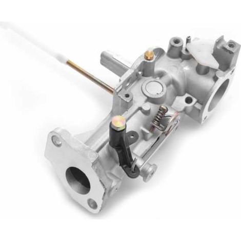 Carburateur pour Briggs & Stratton 5 & 6 HP (1/5)