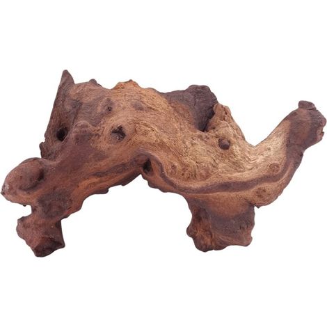 M Mopani Wurzel Nr.4803 Holz Deko Aquascaping