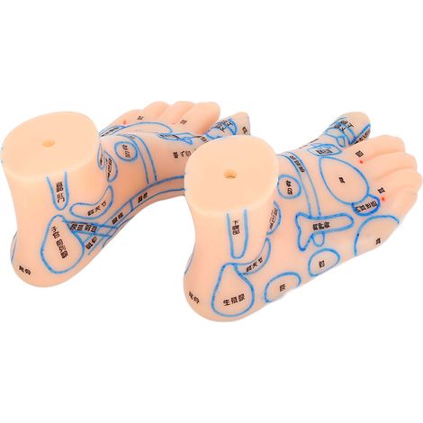 Modèle de zone réflexe d'acupuncture pour massage des pieds (15 cm) - Outil pédagogique (1/5)