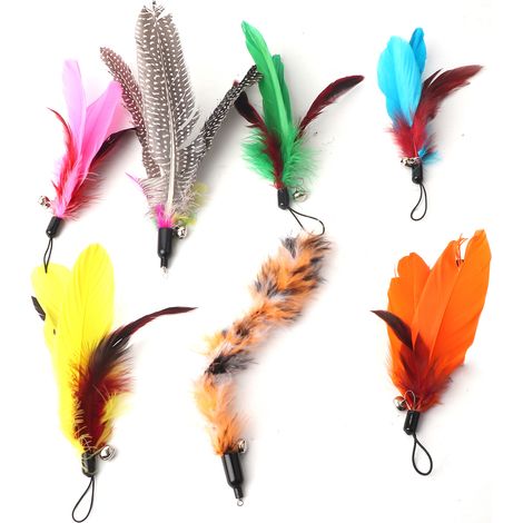 7 pièces Têtes de Remplacement pour Canne à Pêche Jouet Chat avec Plumes, Accessoires pour Chats (1/5)