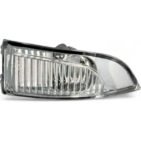Feu clignotant de rétroviseur droit Renault Megane Scenic Laguna (1/4)