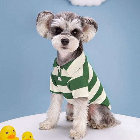 vêtement pour chien - Rayures d'été - Vêtements fins pour animaux - Convient aux chiens bipèdes de type Teddy, Bichon, Poméranien, Bouledogue français et Chat (1/2)
