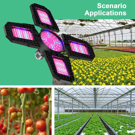 Ortviai Lampe de Croissance LED Puissante 150 W Pliable pour Plantes d'Intérieur, Succulentes et Semis