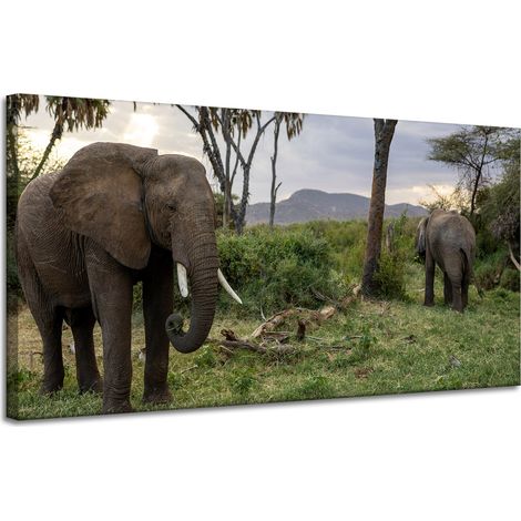Leinwanddruck Tiere Elefanten Savanne 120x60