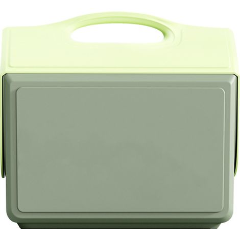 Glacière Portable 15L - pour Camping, Voiture, Fraîcheur, Léger - Alovez