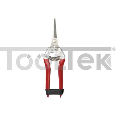 FORBICE PULISCI UVA COGLIUVA LAMA DRITTA 19cm ACCIAIO INOX