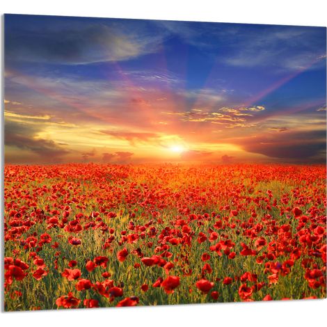 GLASPLATTE FÜR KÜCHE 65x60 Maki (1/5)