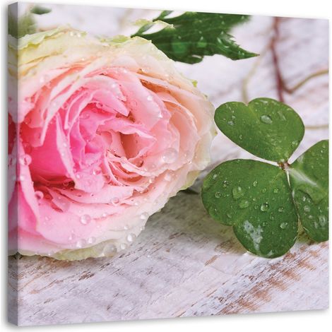 Quadro su tela, Rosa fiore rosa natura - 30x30 (1/5)