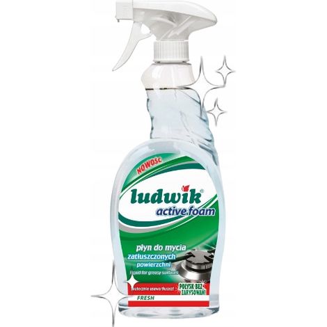 Ludwik Flüssigreiniger für fettige Oberflächen 750 ml (1/5)