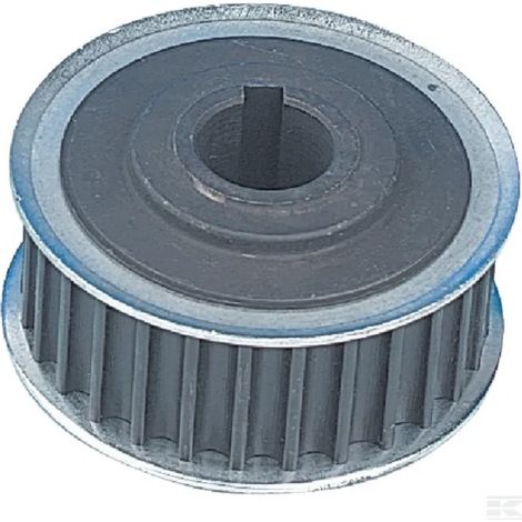 125601562/0 - Poulie crantée pour tondeuse autoportée Castelgarden / GGP (1/3)