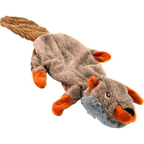Castor plat peluche chien